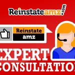 Amazon Seller Expert Phone Consultation Suspension Service