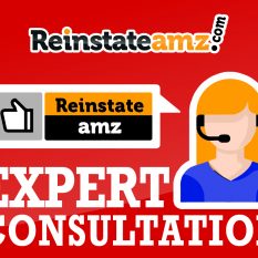 Amazon Seller Expert Phone Consultation Suspension Service