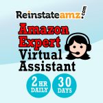 Reinstateamz Service Virtual Assistant