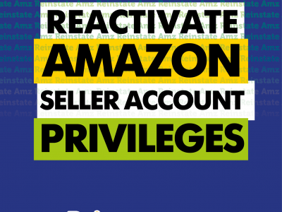 Reinstate AMZ - Amazon Seller Account Specialists