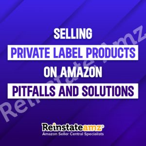 Selling-Private-Label-Products-on-Amazon-Pitfalls-and-Solutions