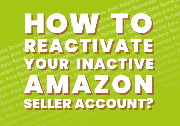 Reinstate AMZ - Amazon Seller Account Specialists