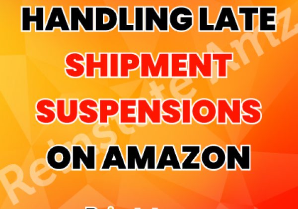 Handling-Late-Shipment-Suspensions-on-Amazon