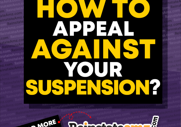 REINSTATEAMZ.com How-to-Appeal-against-your-Suspension-2020